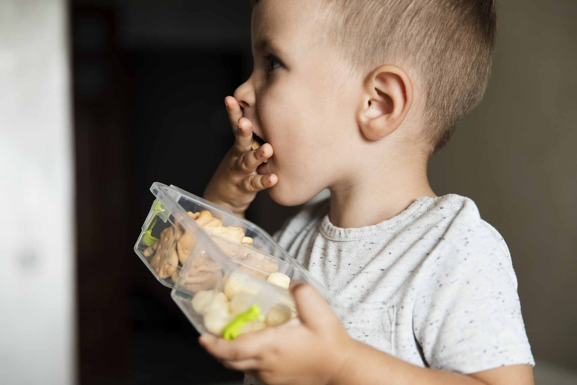 Outil développement alimentaire